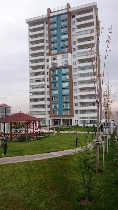 Doğasu bahçesindeki kamelya ve blok